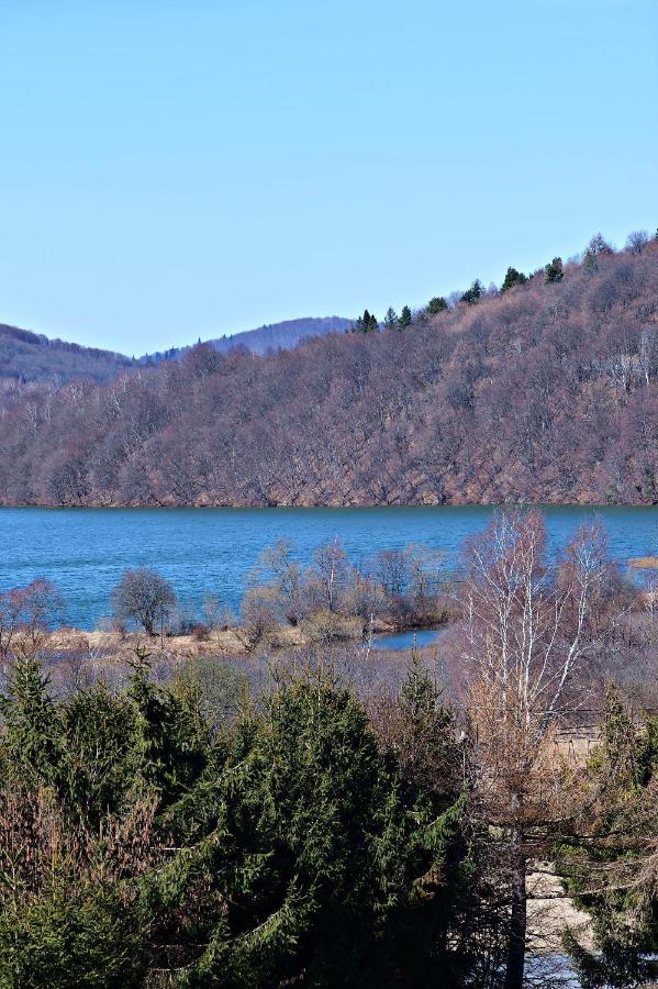 Drozdowka Nad Solina - Chata Z Kominkiem Exterior foto